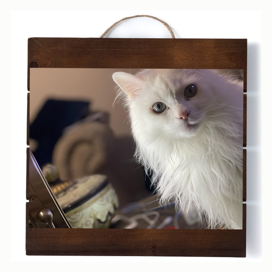 Custom Photo Metal Sign with Wood Frame | Personalized Wall Plaque for Home Decor, Wedding, Anniversary, and Gifts