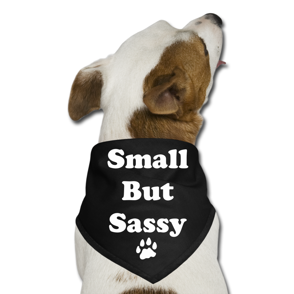 Small But Sassy Dog Bandana - black
